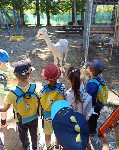 Mini-Zoo-Lama-deti