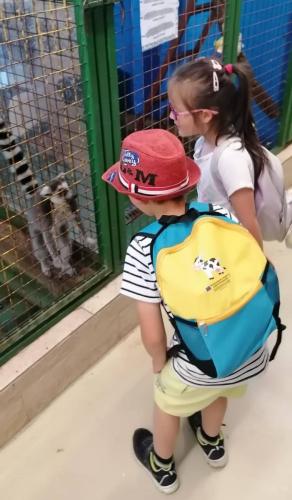 Mini-Zoo-Misko-Viky-plazy