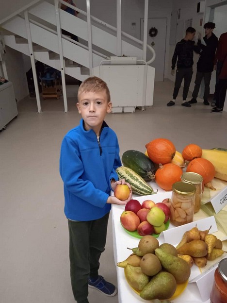 Zdrav ivotn t l Spojen kola J na Vojta ka 13 ilina Zdrav ivotn t l Spojen kola J na Vojta ka 13 ilina