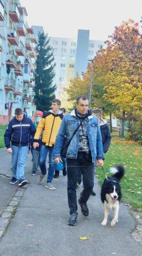 FB IMG 1730719527115