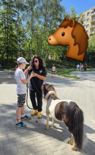 Kronika Jún