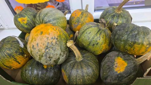 received_1390628025955984